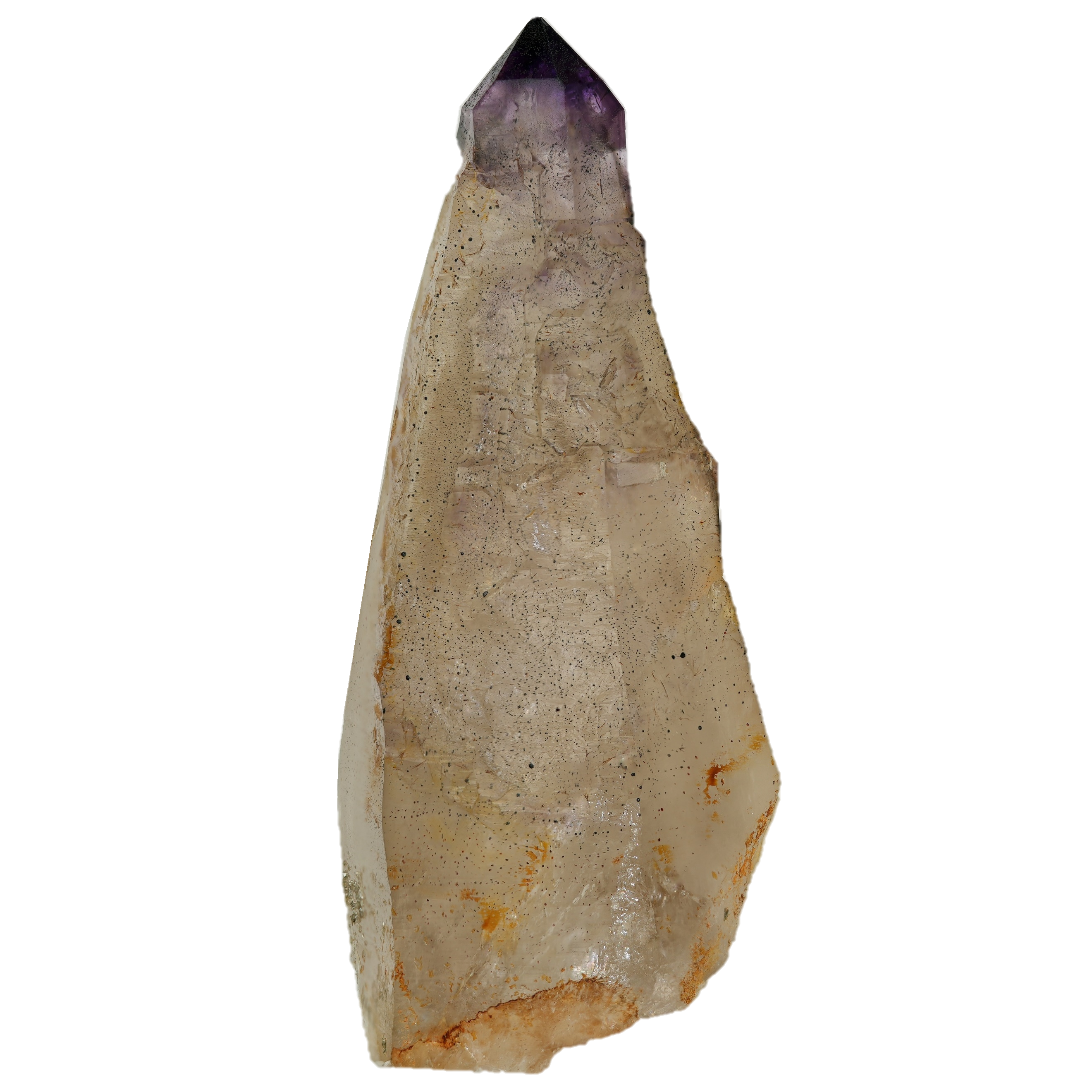 Großer Amethyst Zepter vom Saurüssel (9.0 cm x 4.2 cm)