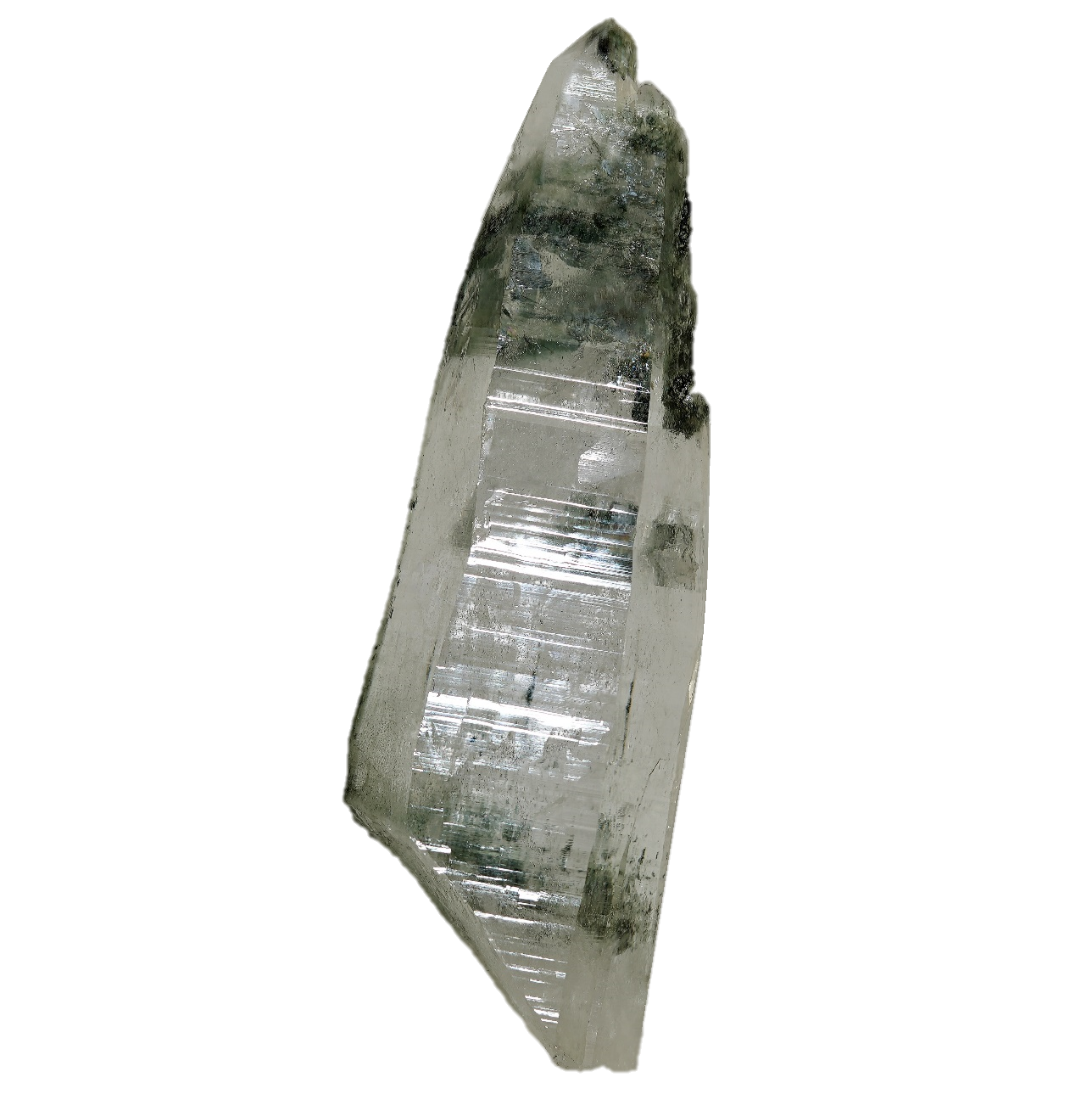 Großer Bergkristall mit Chlorit vom Ritterkopf (15.4 cm x 4.9 cm)