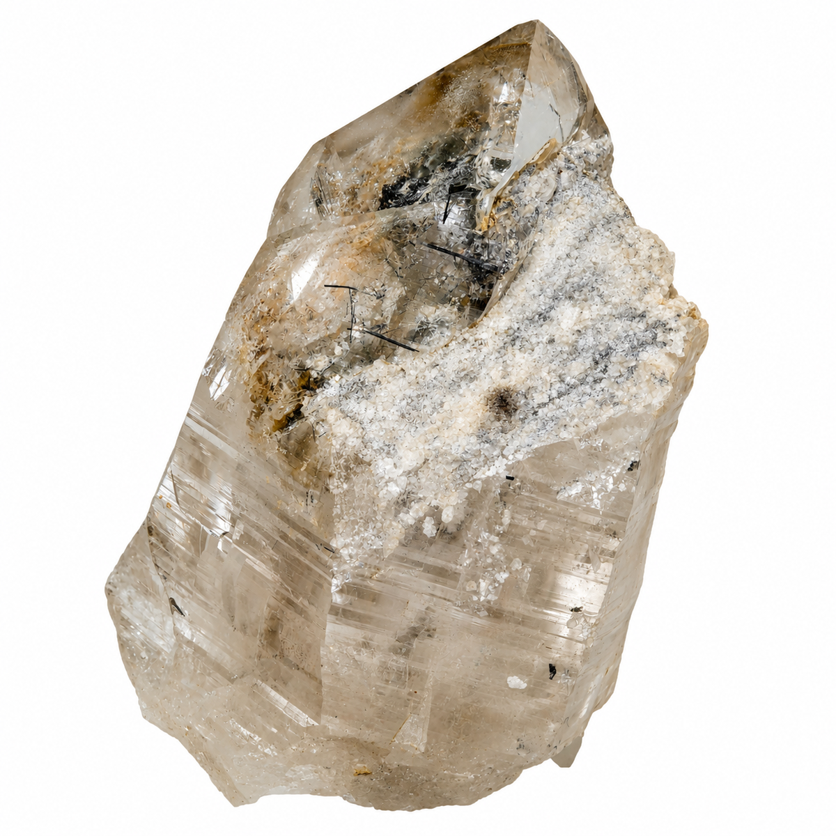 Quartz crystal with Tourmaline needles from the Gotthard Massif (7.7 cm x 4.5 cm)