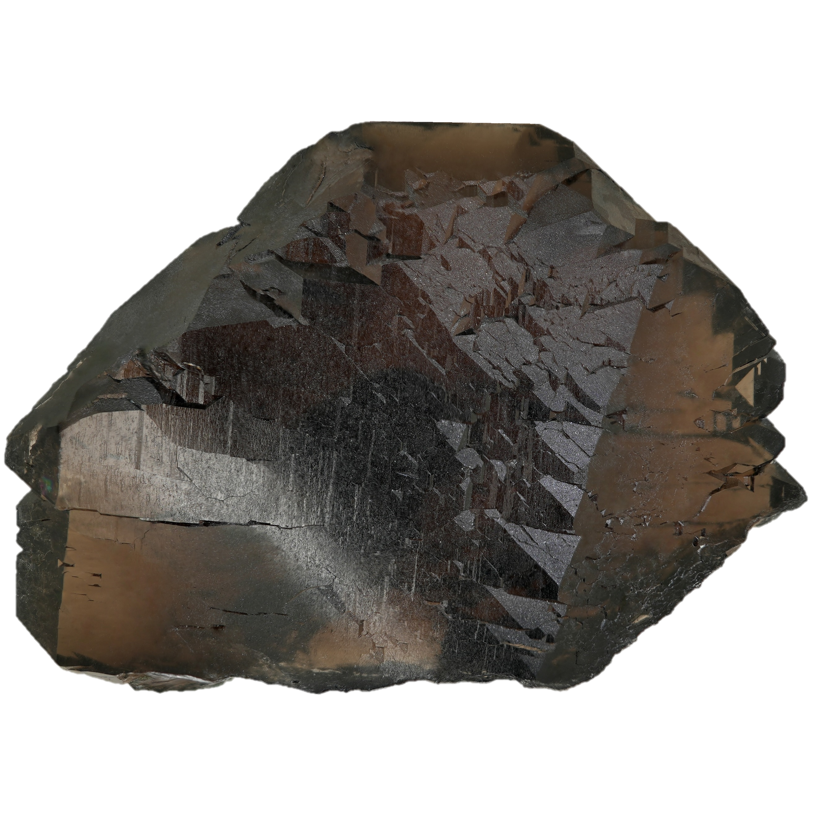 Dunkles Rauchquarz Gwindel aus dem Val Val (9.0 cm x 6.4 cm)