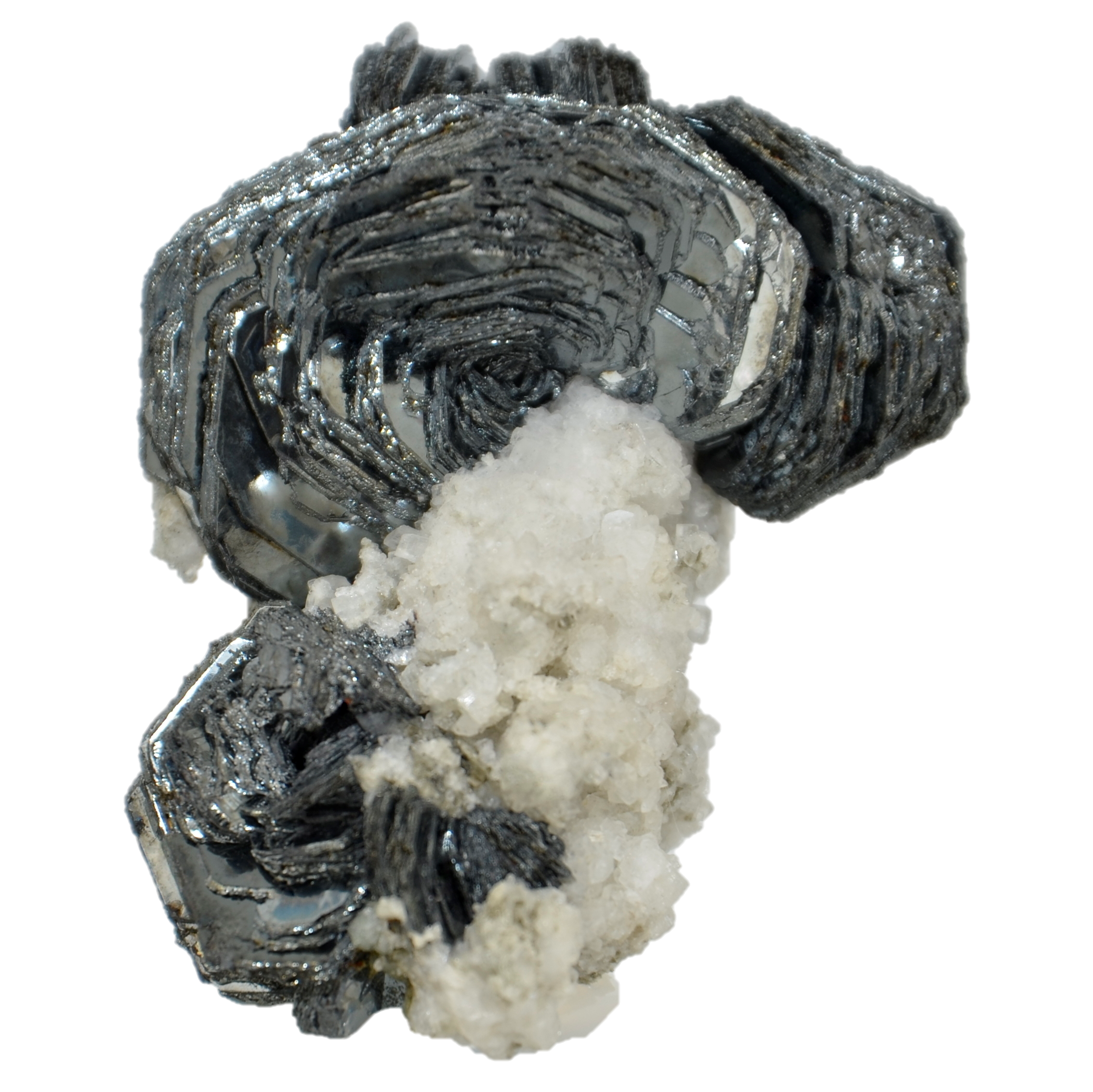 Exzellente Eisenrosen auf Matrix vom Gotthard Massiv (9.9 cm x 7.5 cm)