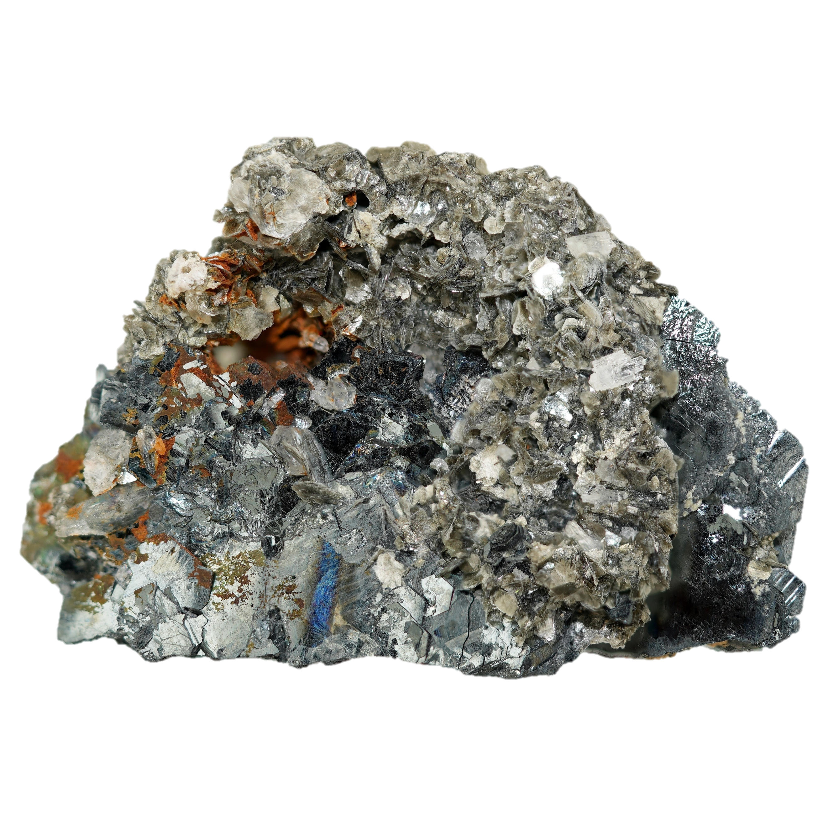 Glänzende Eisenrose mit Muskovit vom Mörchnerkar (4.5 cm x 3.0 cm)