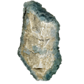 Eisblaue Fluorit Stufe vom Rehrlköpfl (9.5 cm x 5.5 cm)