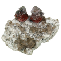Zweifarbige Fluorit Gruppe mit Rauchquarz von der Göscheneralp (8.2 cm x 6.8 cm)