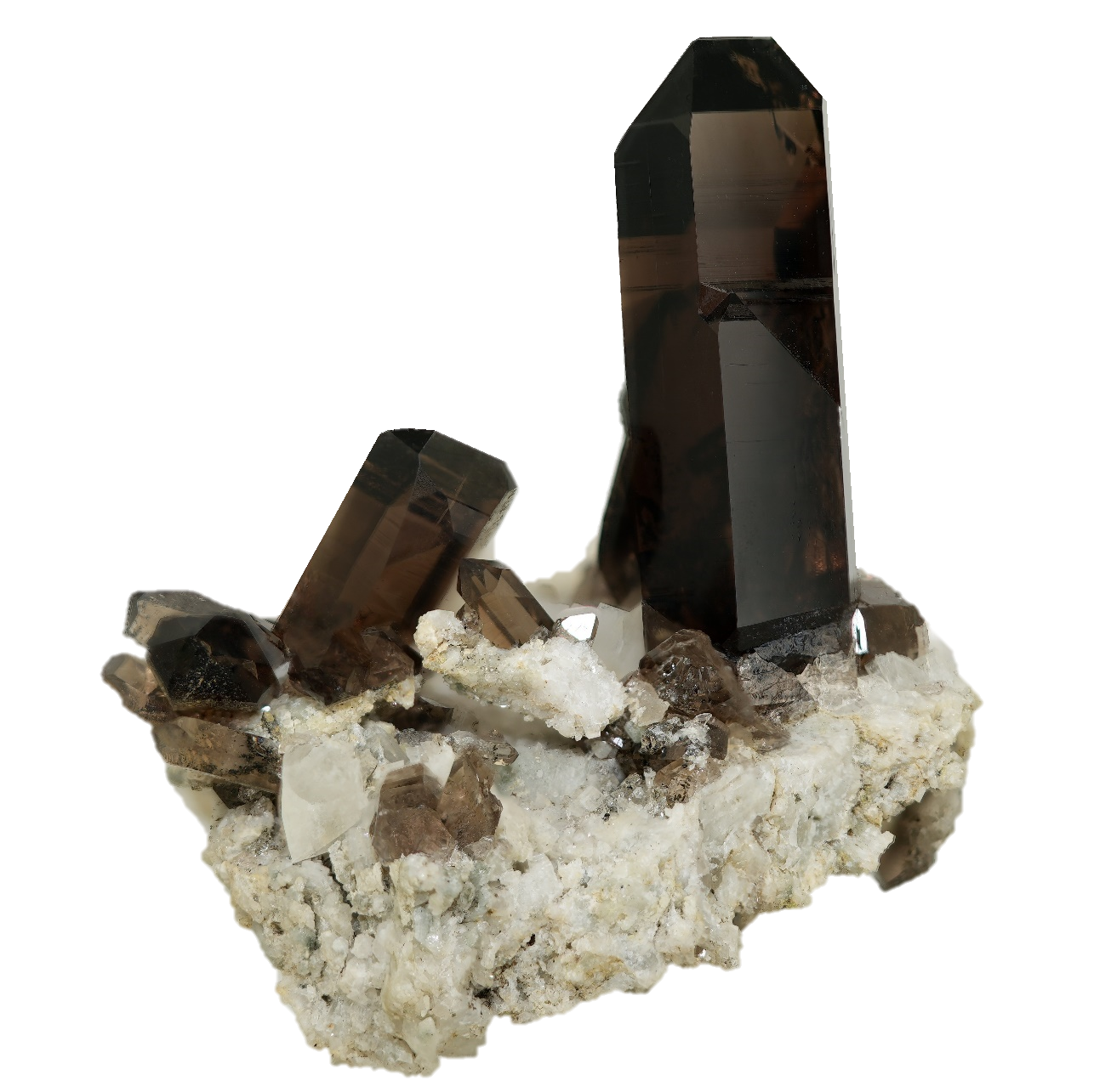 Dunkle Morion Kristalle auf Matrix von der Göscheneralp (6.6 cm x 6.0 cm)