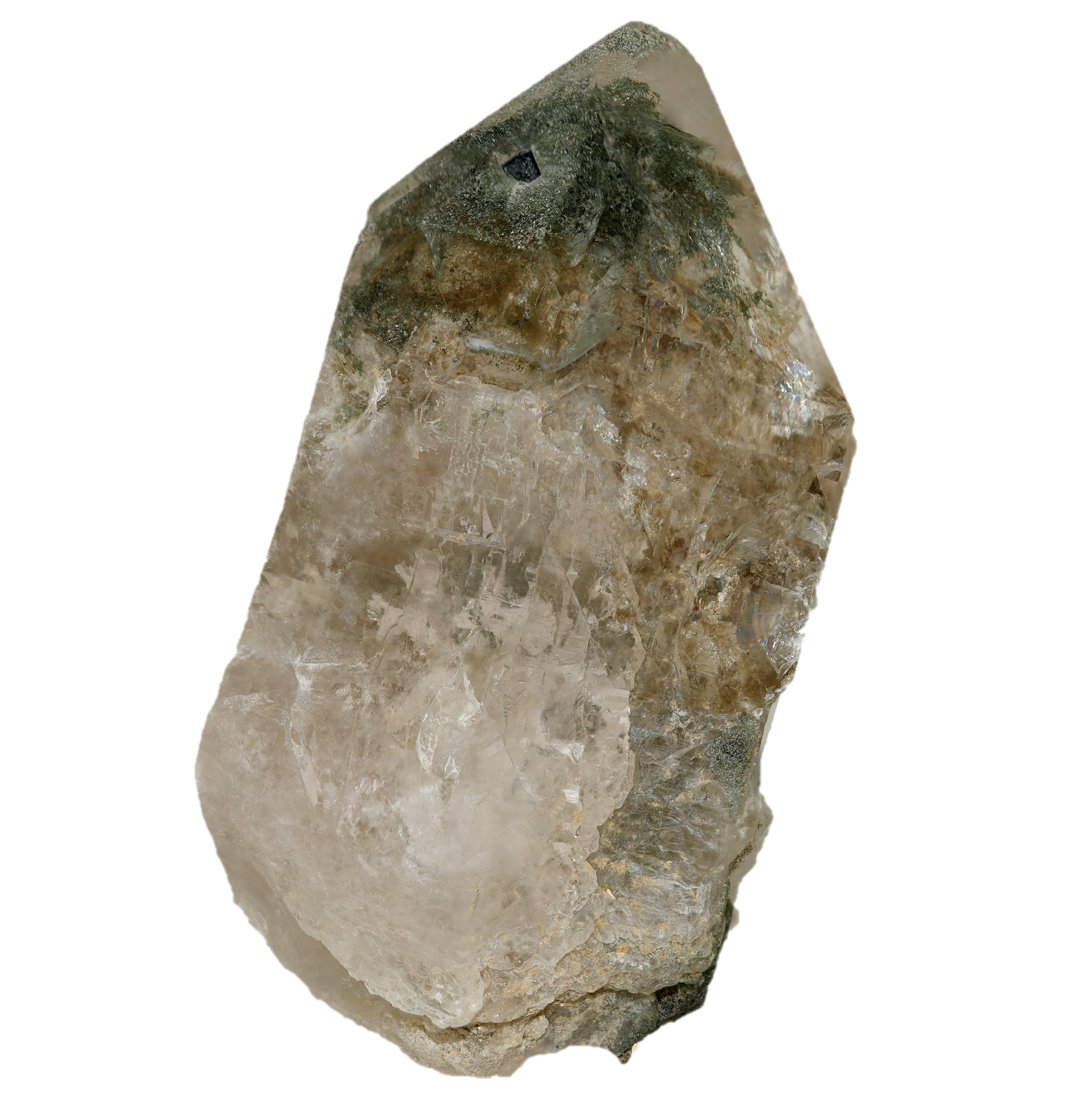 Chloritquarz Kristall aus dem Val Cristallina (9.5 cm x 5.4 cm)