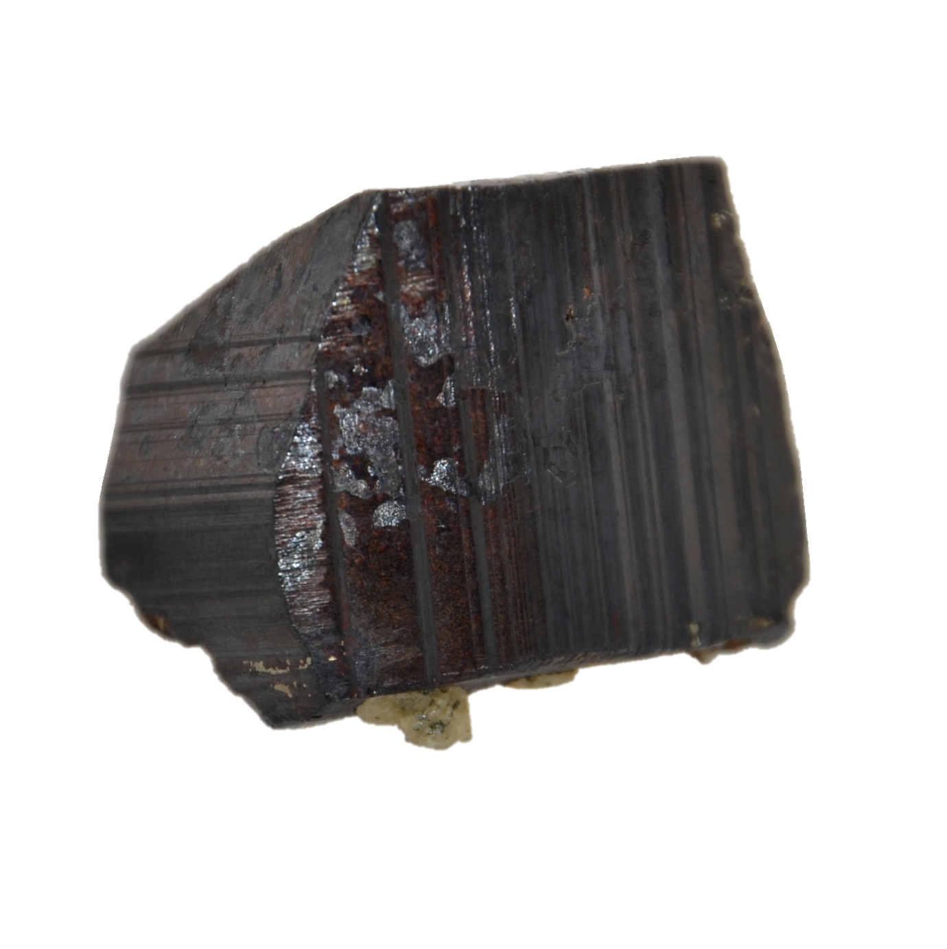 Seltener Kluft Pyrit Kristall aus dem Rauriser Tal (3.3 cm x 2.5 cm)