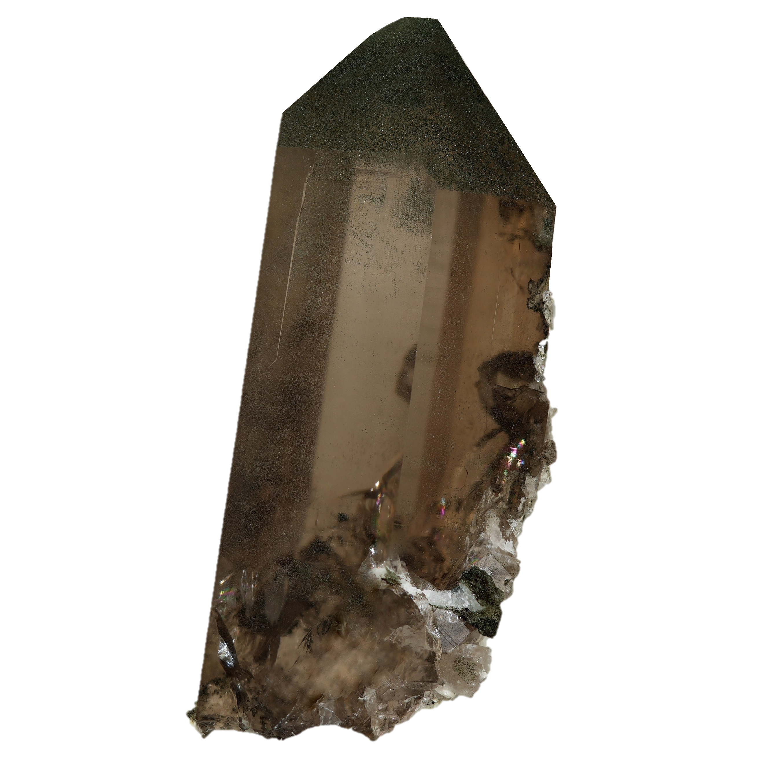 Dunkler Rauchquarz Kristall von der Göscheneralp (8.8 cm x 4.1cm)