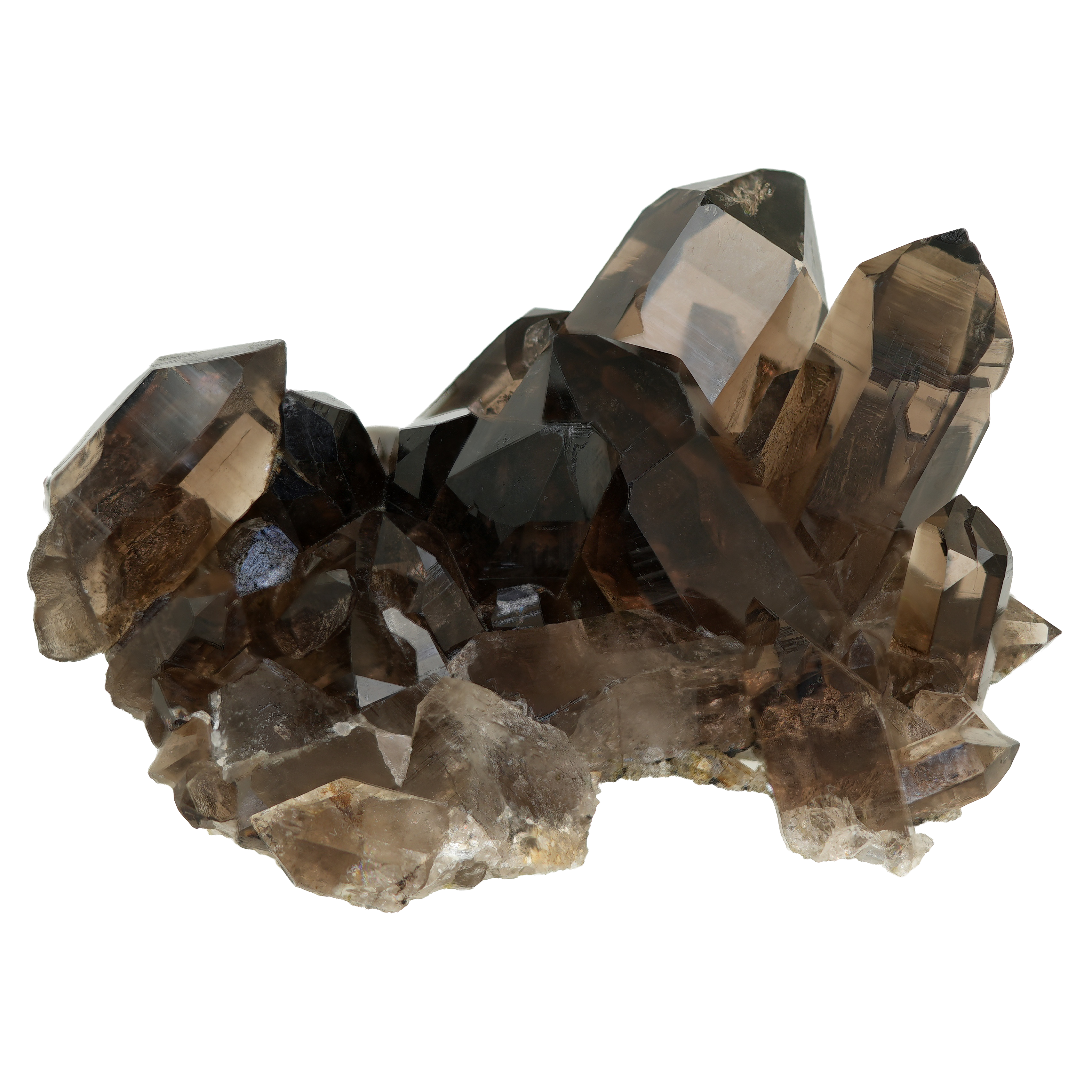 Smoky Quartz group from Val de Trient (9.1 cm x 7.3 cm)