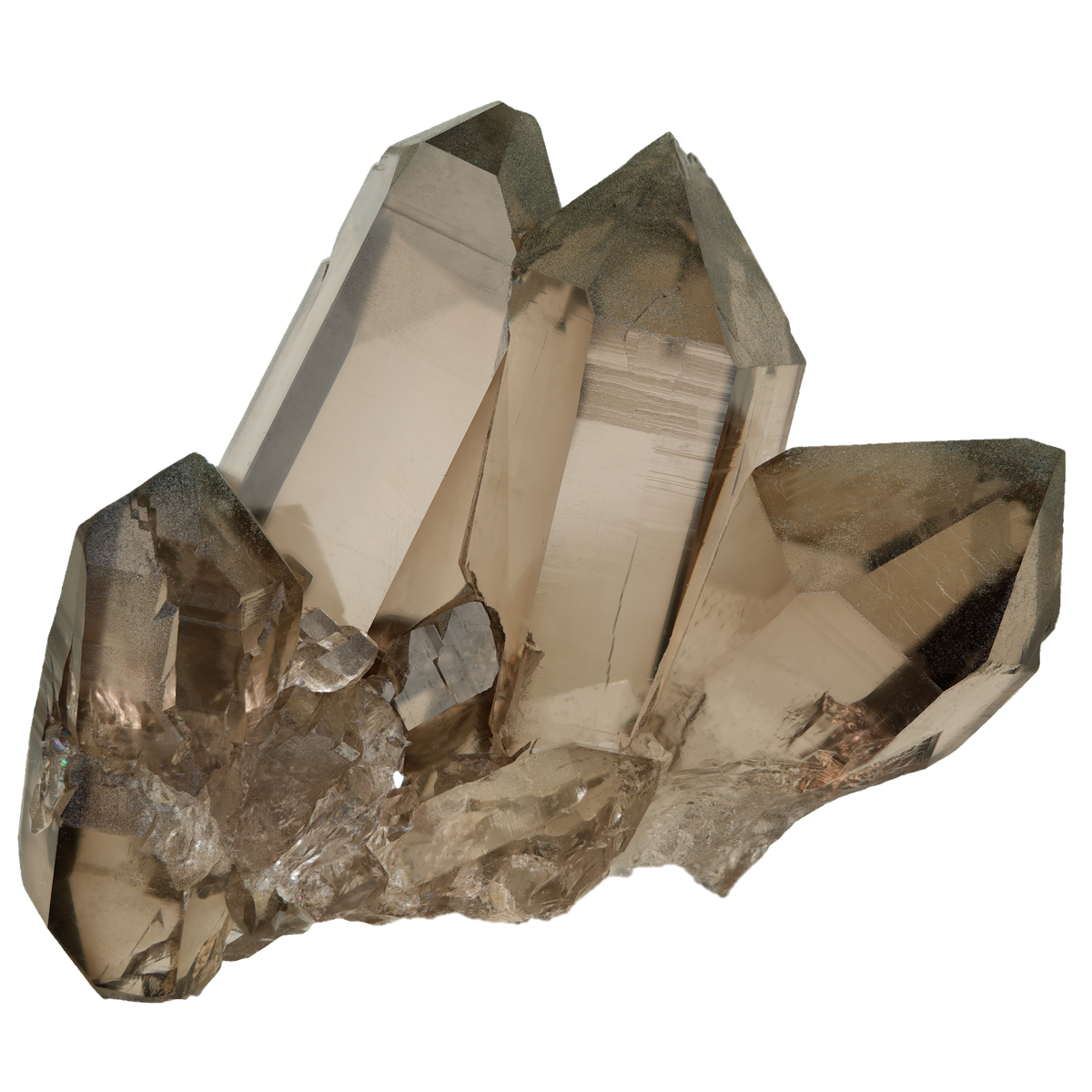 Aesthetic smoky Quartz group from Galenstock (9.2 cm x 8.4 cm)