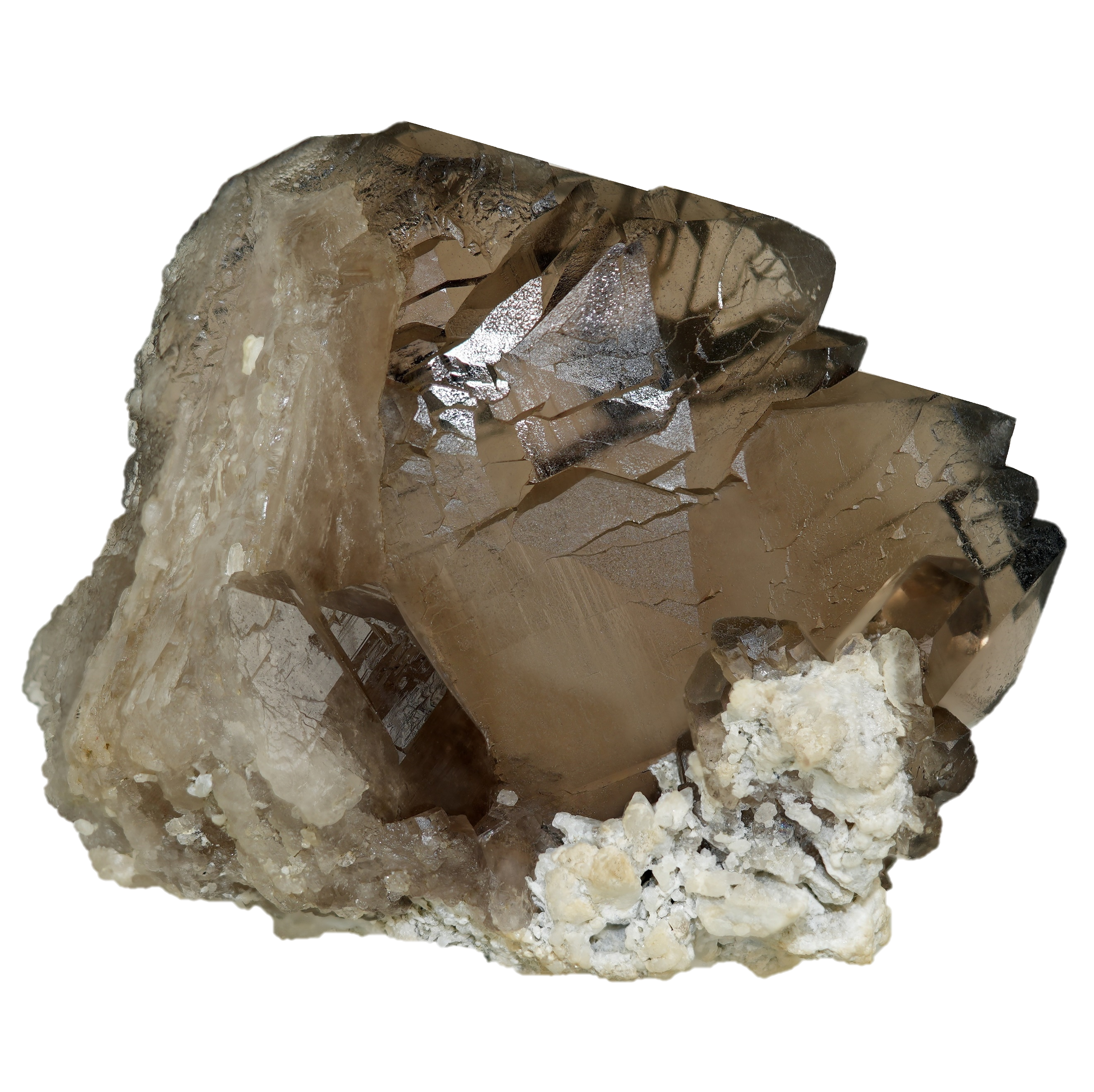 Großes Rauchquarz Gwindel aus dem Val Mila (9.6 cm x 7.7 cm)