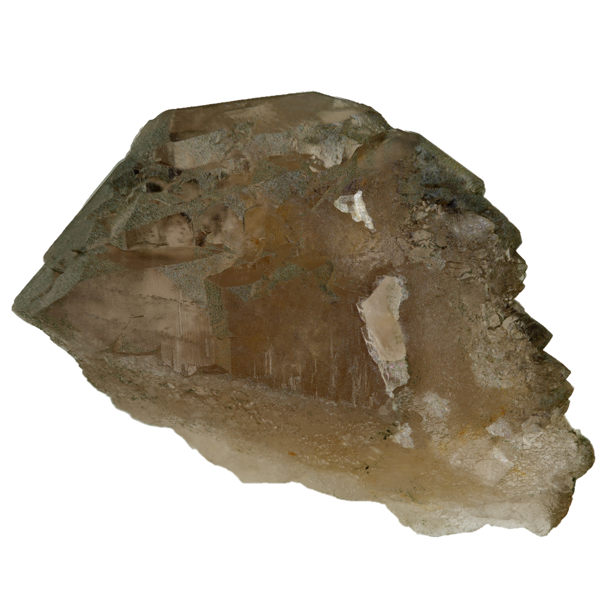 Rauchquarz Gwindel aus der Göscheneralp (5.9 cm x 4.7 cm)