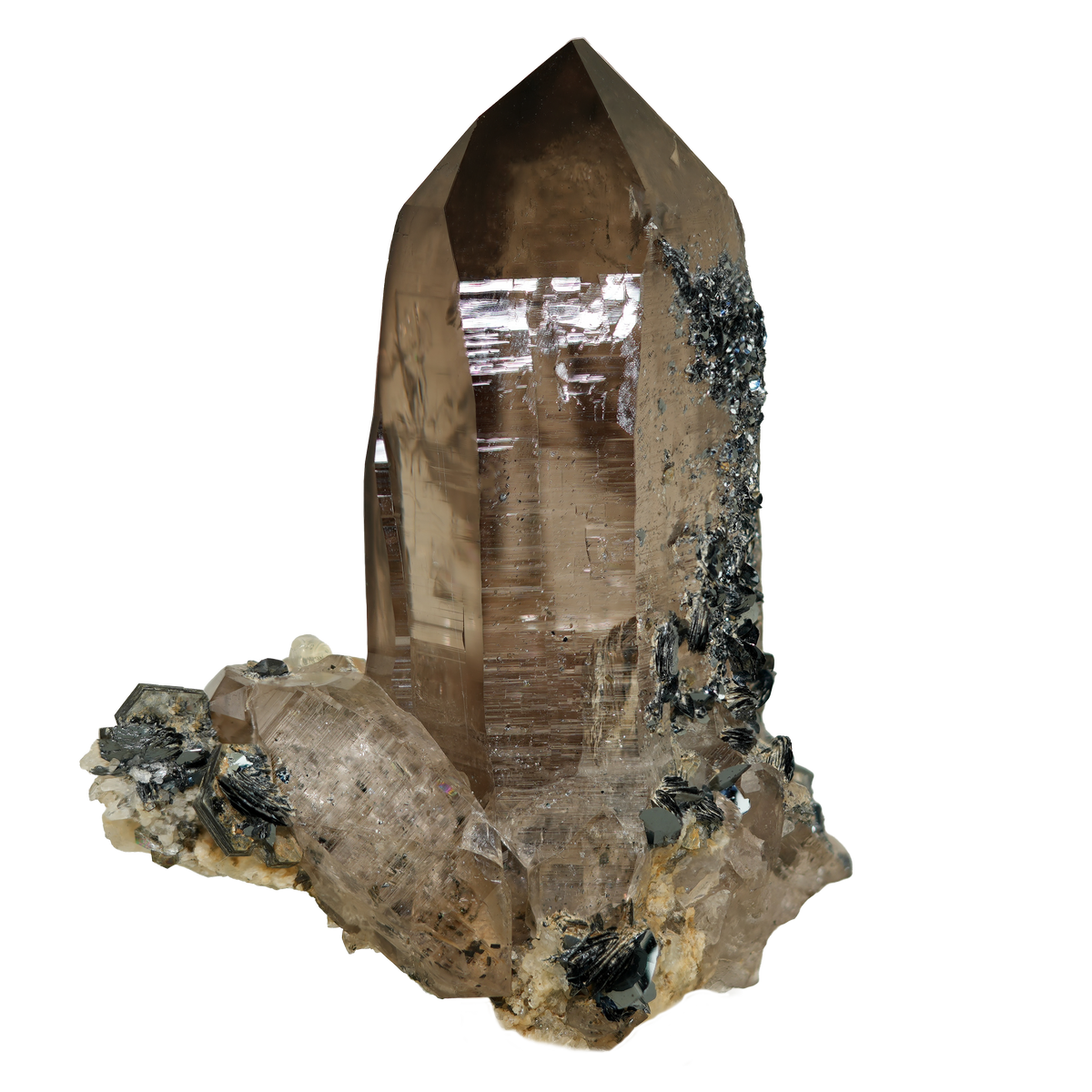 Perfekter Rauchquarz Kristall mit Eisenrosen vom Furkahorn (6.6 cm x 5.0 cm)