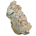 Brillante Sphen Stufe aus dem Bruchgraben (12.5 cm x 7.6 cm)