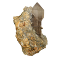 Scepter crystal on matrix from the Lauteraarhörner (6.5 cm x 5.3 cm)