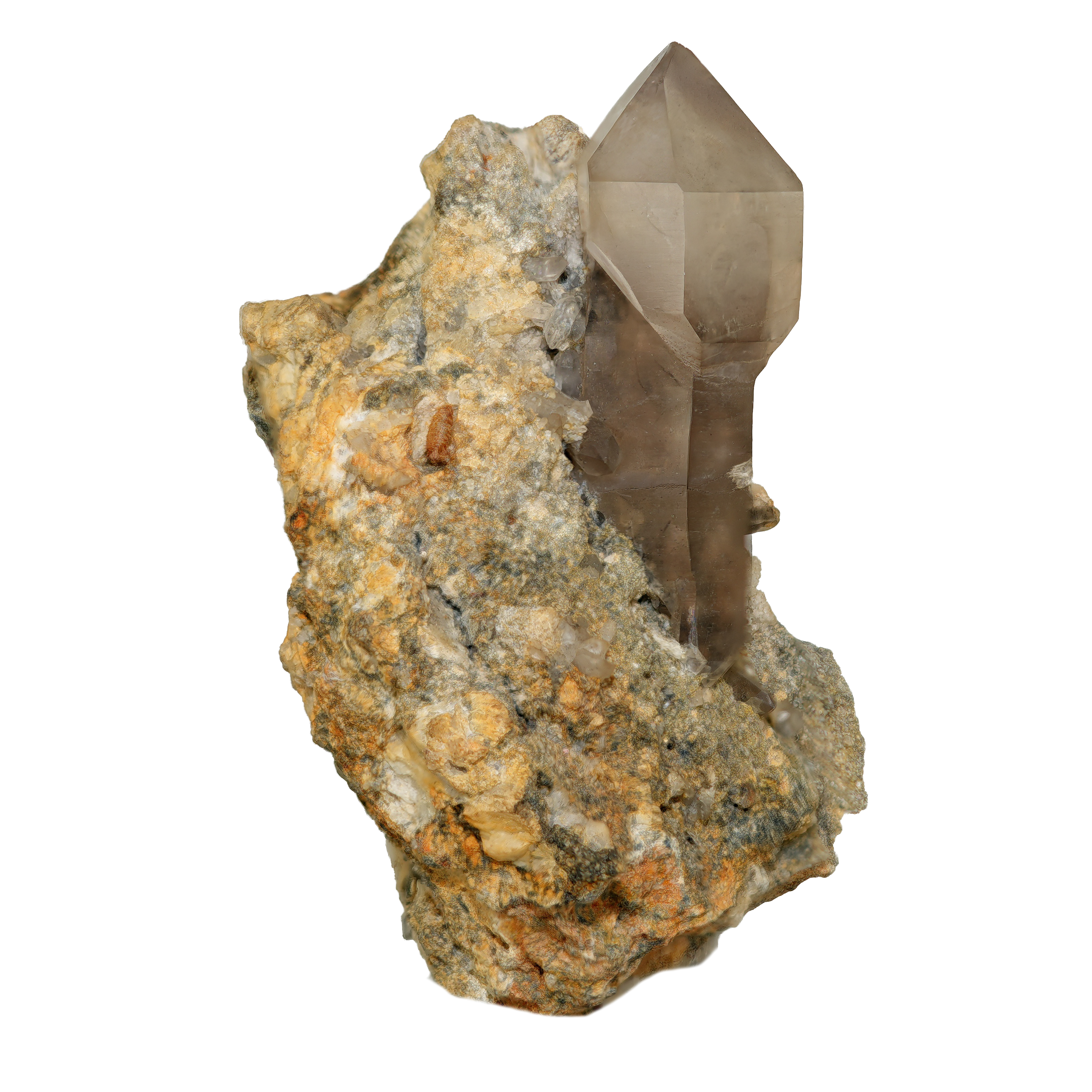Zepterkristall auf Matrix von den Lauteraarhörnern (6.5 cm x 5.3 cm)