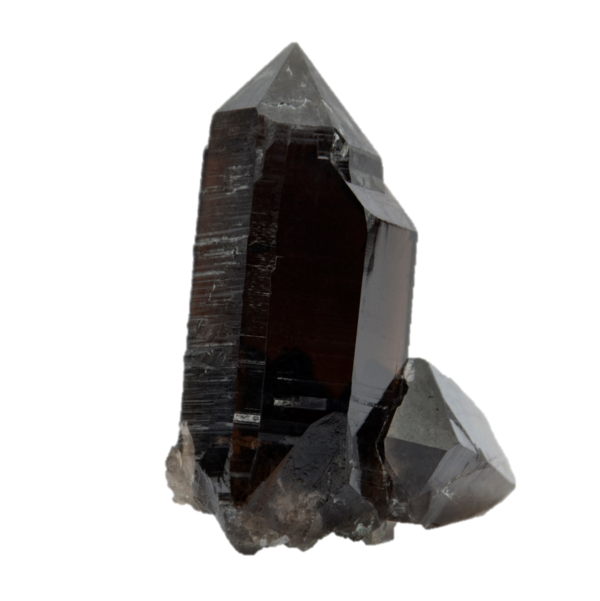 Dunkler Rauchquarz Kristall "Morion" vom Galmihorn (10.5 cm x 9.0 cm)