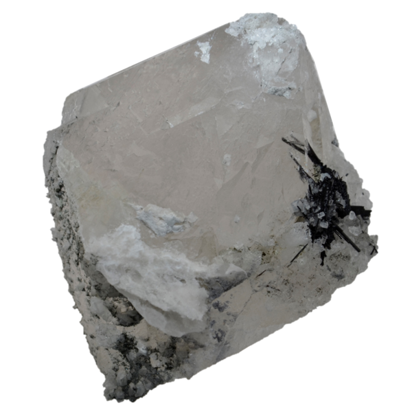 Großer Bergkristall mit Turmalin aus dem Felbertal (13.0cm x 10.0cm)
