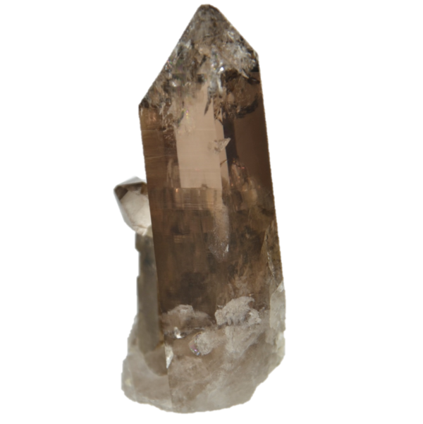 Schöner Rauchquarz Kristall aus dem Val Nalps (7.3 cm x 3.5 cm)